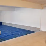 5 Star In Blokhus
