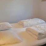 5 Star In Casa vacanze